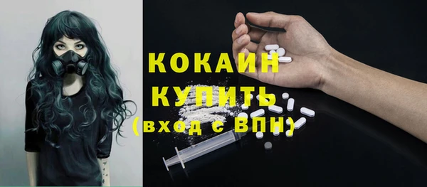 индика Бугульма