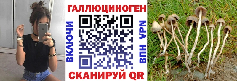 Псилоцибиновые грибы мицелий  Жердевка 